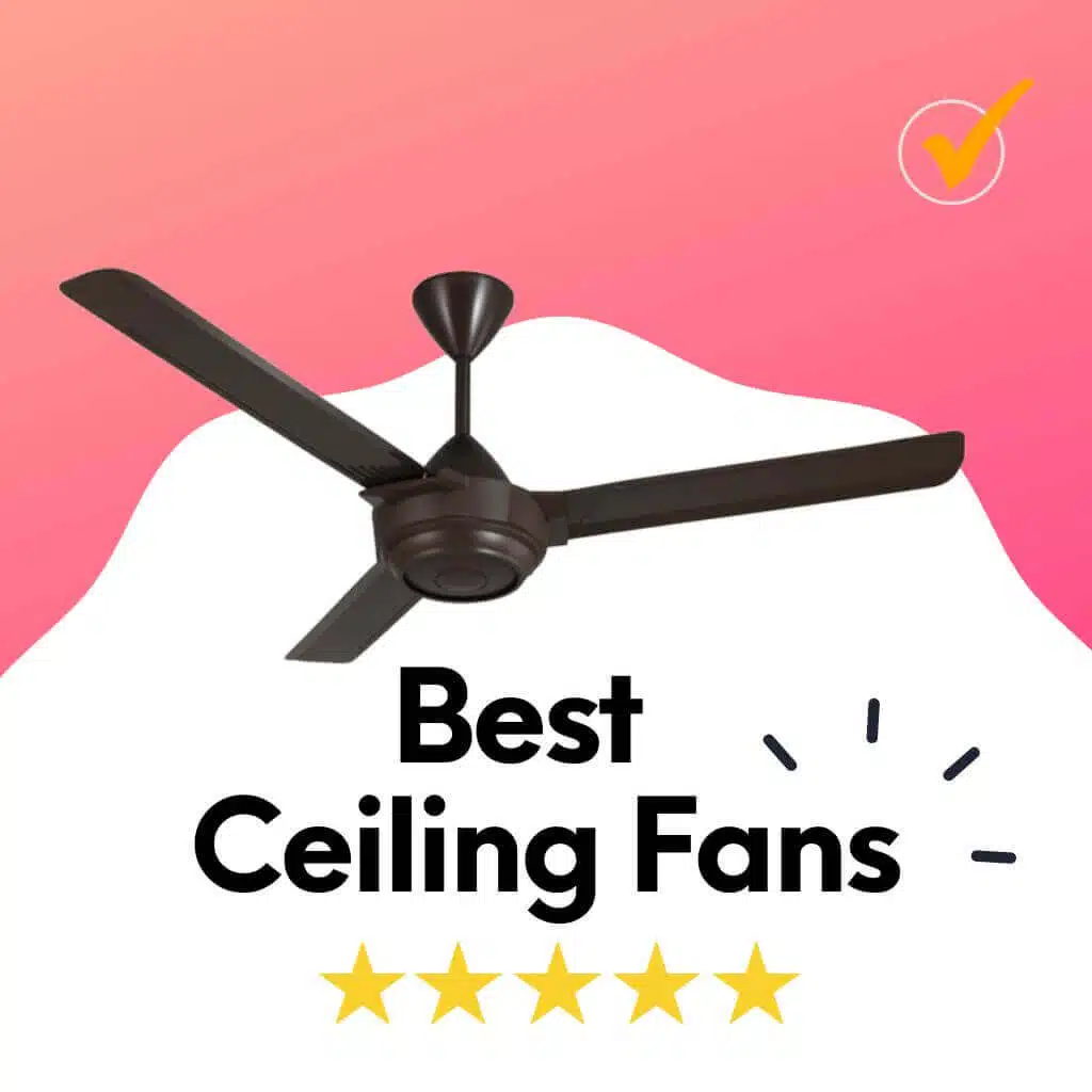 ceiling fan attached to roof