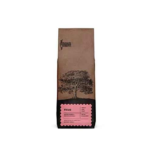 Black Baza Coffee, Ficus, Medium-Dark Roast, Freshly Roasted, Organic, Blend of Arabica & Robusta (Coarse Grind, 250 grams)
