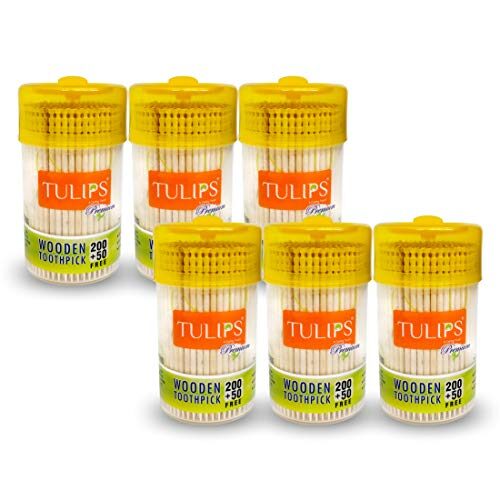 Tulips Premium Wooden Toothpicks 250 Sticks in a Reusable Jar (Pack of 6)