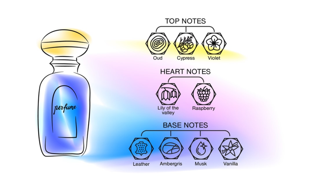 the 3 fragrance notes for any perfume