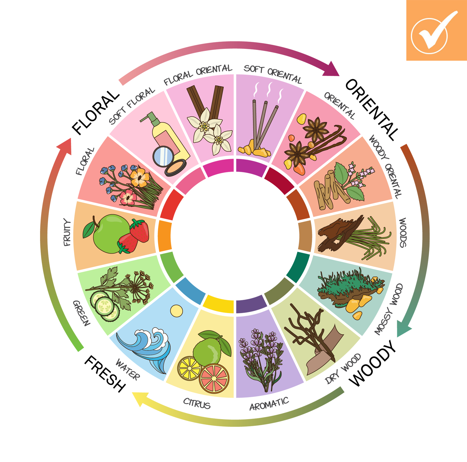 fragrance wheel with all main fragrance types