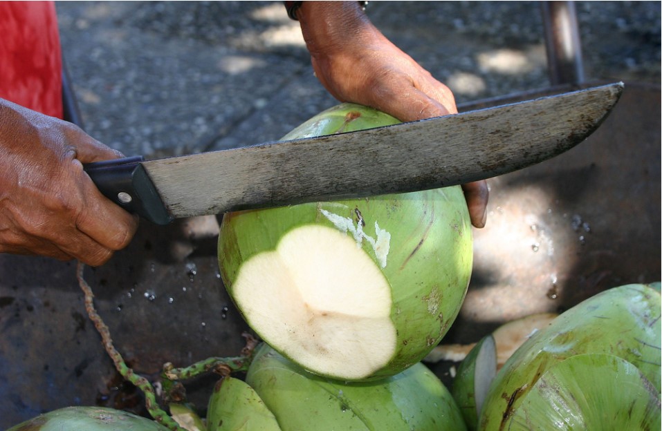 coconut opener knife