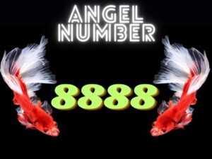angel number 8888