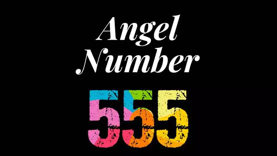 555 angel number twin flame