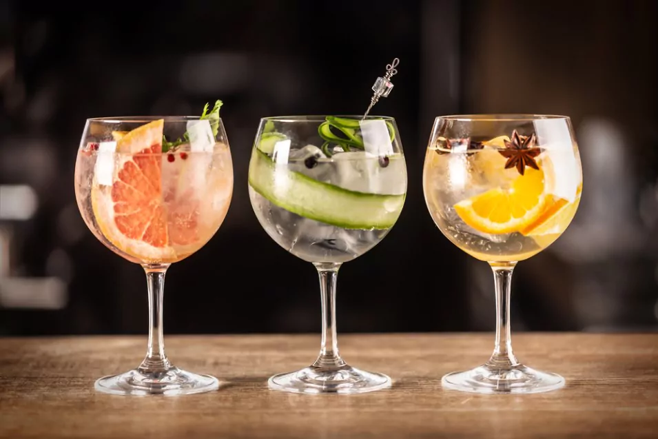 glasses of different gin and tonic