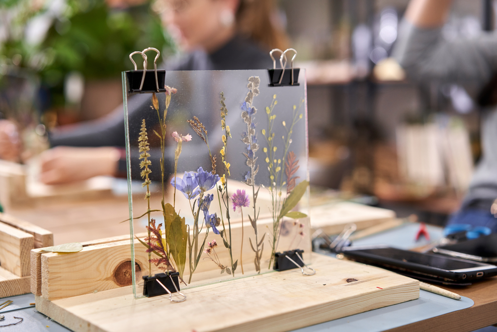 storing and organising herbarium specimens