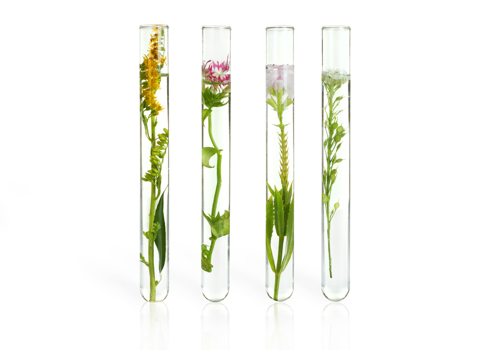 collecting plant specimens