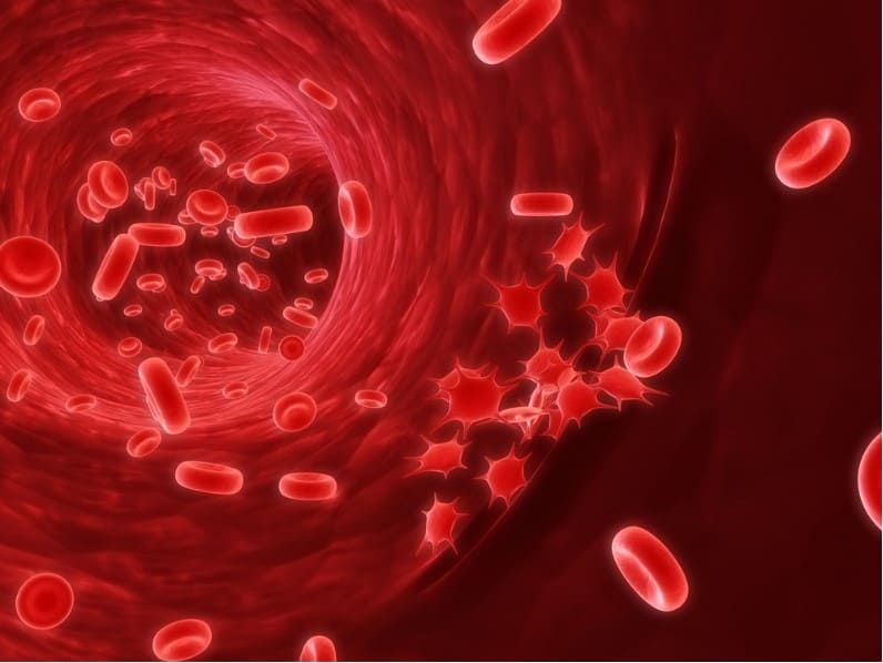 platelets in blood