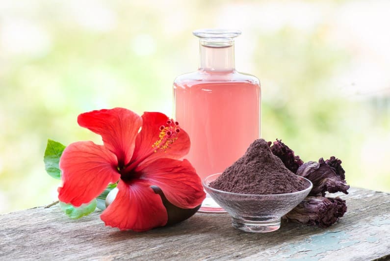 hibiscus powder and flower