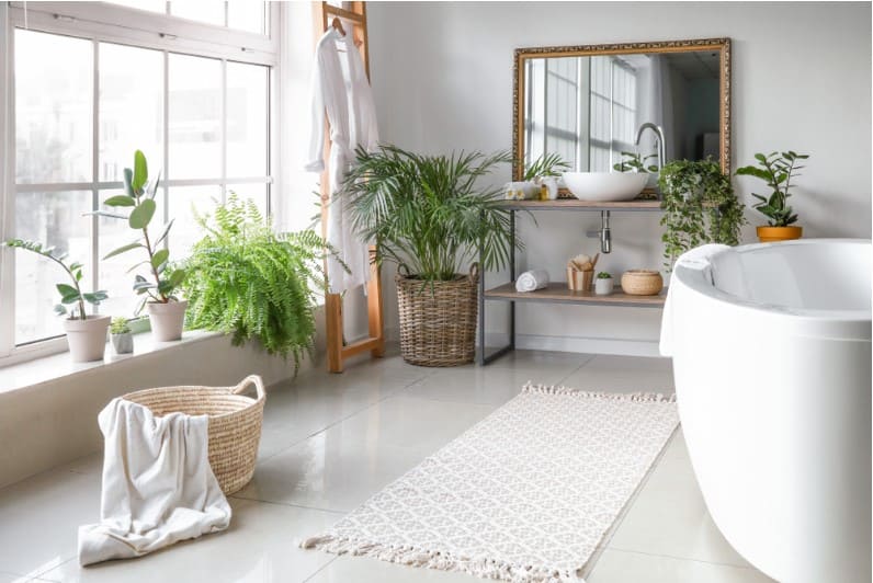 stylish interior of bathroom with green indoor plants