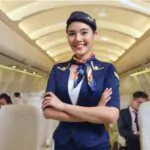cabin crew or air hostess working in airplane