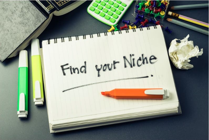 identify a niche