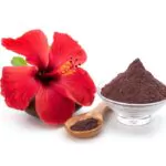 hibiscus flower with hibiscus powder for hair