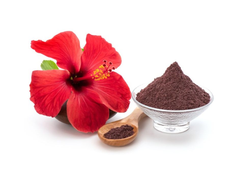 hibiscus flower with hibiscus powder for hair