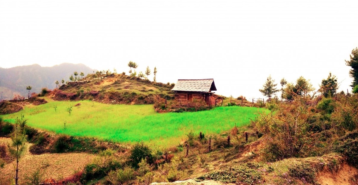 thachi valley himachal pradesh