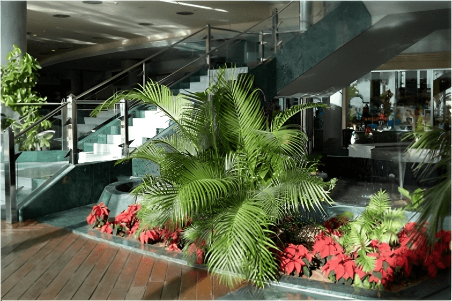 tropical plants in the hotel lobby