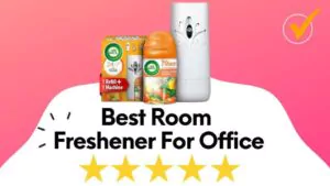 best room freshener for office