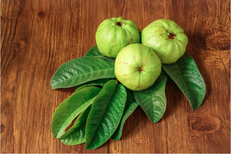 guava fruit with guava leaves on a wooden table
