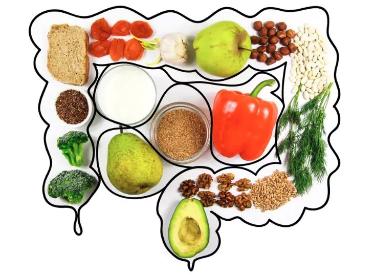 food for bowel health kefir bifido bacteria greens apples fiber dried fruits nuts pepper whole bread cereals broccoli flax seed isolate on a white background