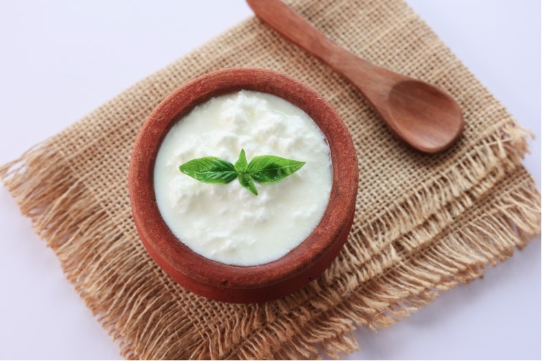 curd in clay pot made from cow milk sour cream or natural cottage cheese
