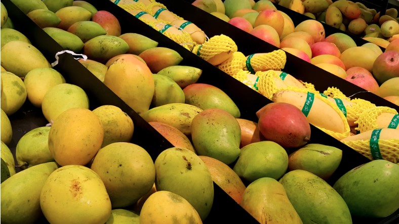 different varieties of mangoes from several parts of india