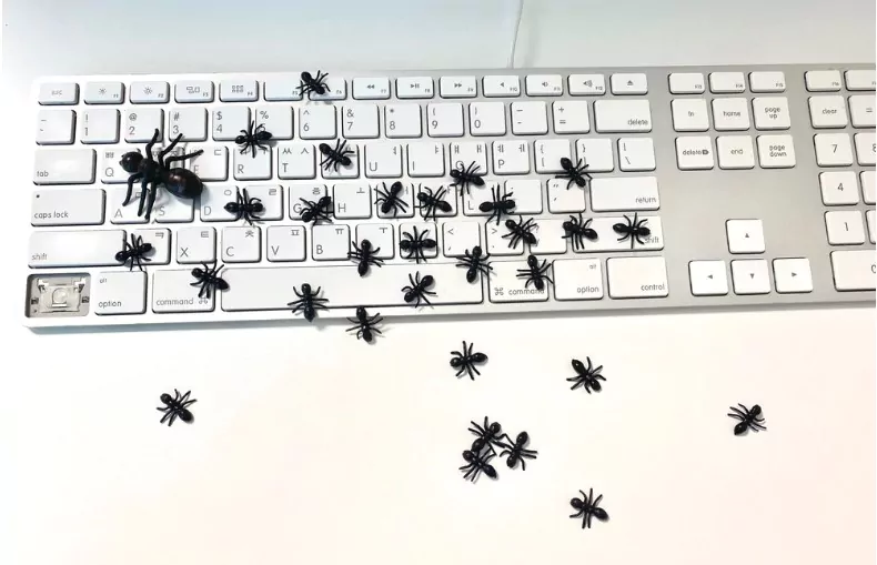 ants are passing over the white desk and a broken keyboard