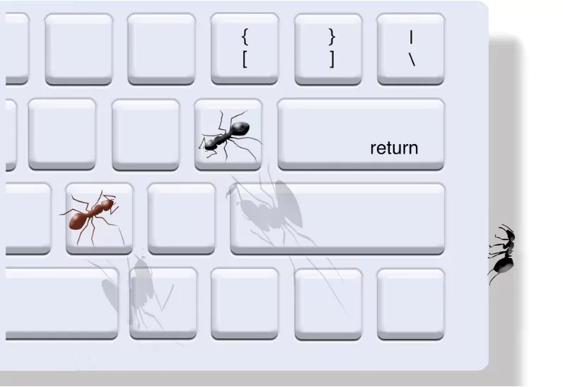 office ants on a laptop keyboard