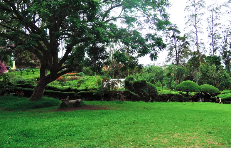 beautiful green bryant park in kodaikanal