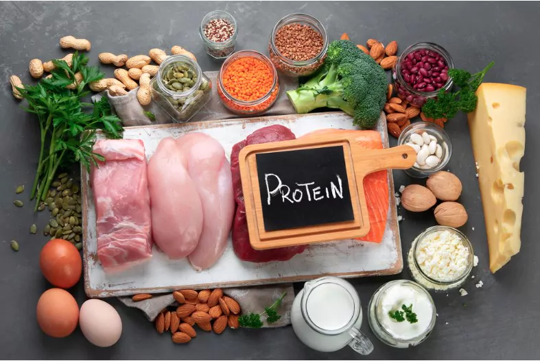 best foods high in protein
