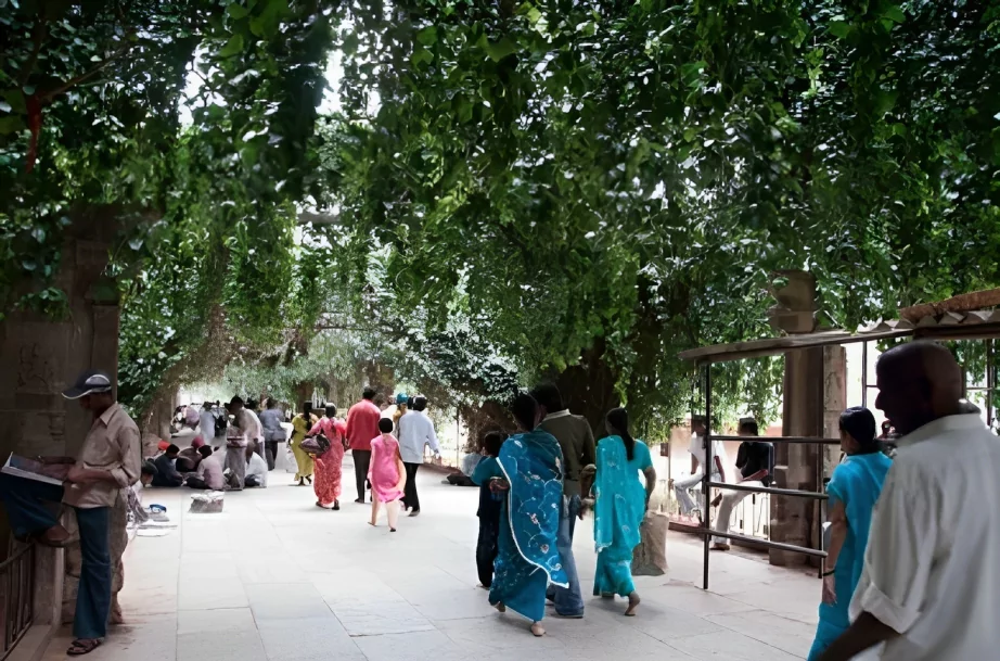 devotees visiting to tirupati balaji temple at tirumala hill