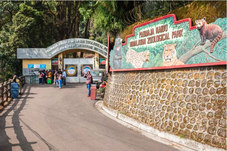 padmaja naidu himalayan zoological park in darjeeling