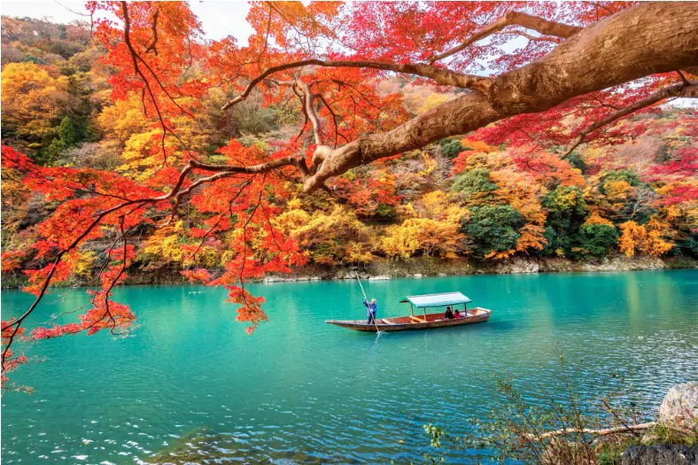 boatman punting the boat at river arashiyama in autumn season along the river in kyoto japan
