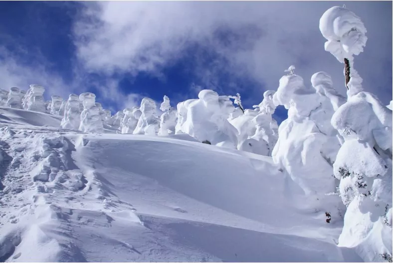 snow monsters at zao mountain japan