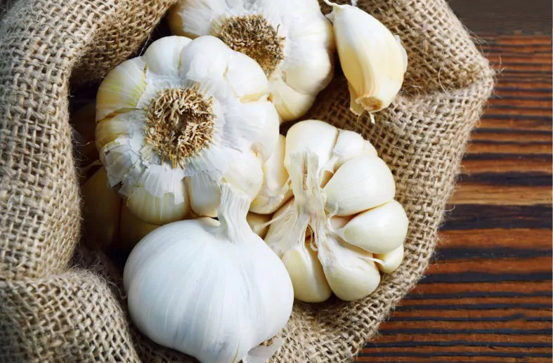 garlic in sack bag on wooden background