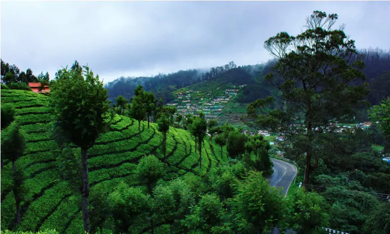 beauty of hill station ooty in monsoon