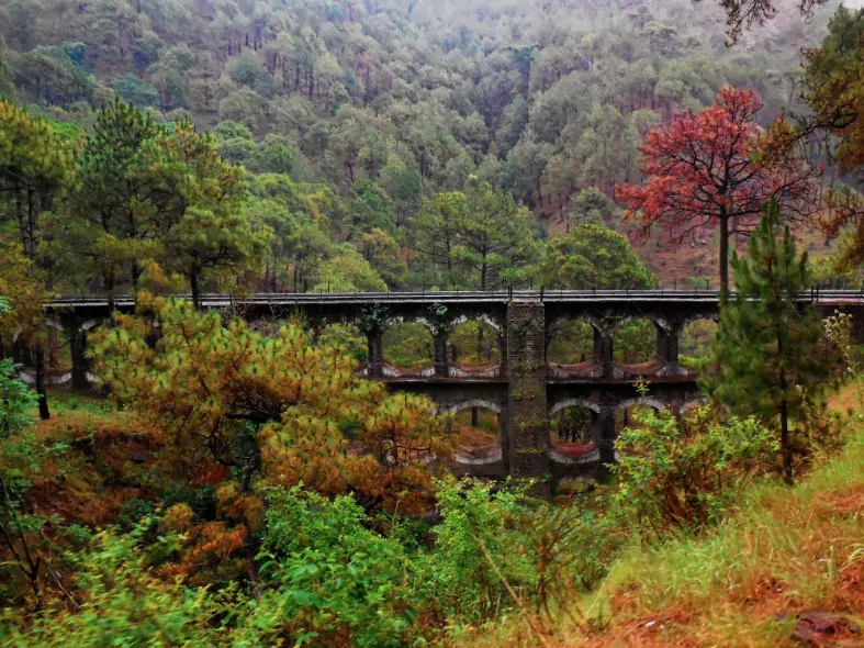 old train bridge between shimla & kalka in autumn