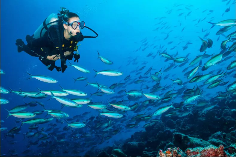 woman scuba diver exploring sea bottom with beautiful corals and lots of coloured fish in maldives