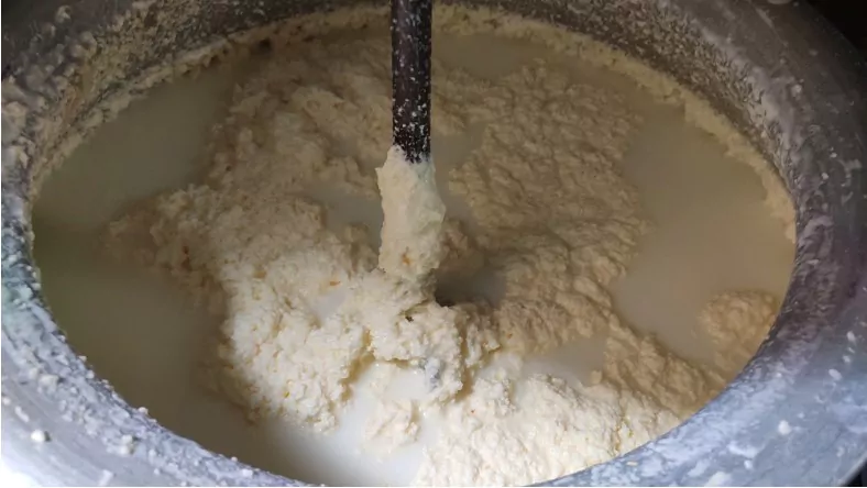 churning butter with buttermilk in churn