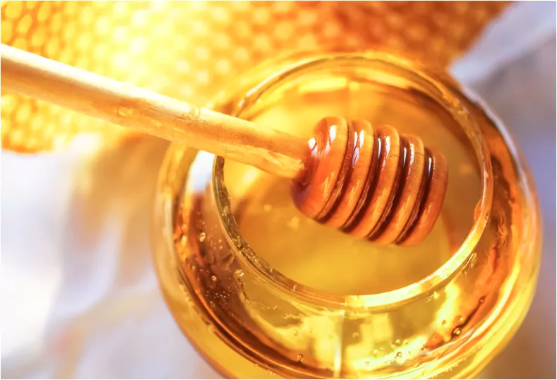 honey dipper on the bee honeycomb background