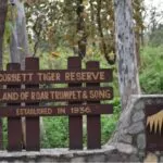 tiger reserve jim corbett national park