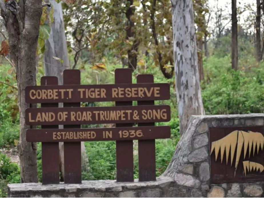 tiger reserve jim corbett national park