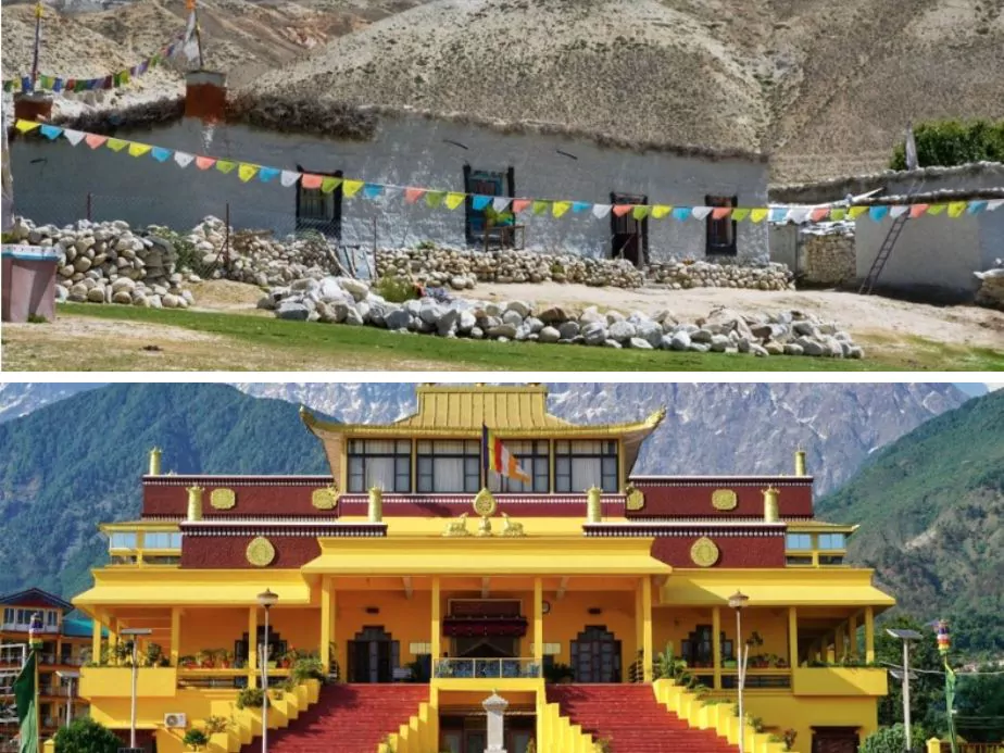 nechung monastery and gyuto monastery dharamshala