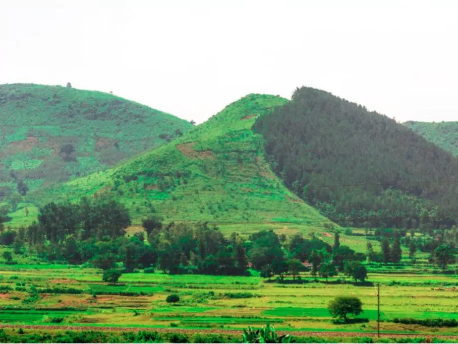 landscape araku valley andhra pradesh india